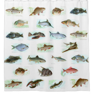 Cortina De Ducha Ilustraciones de los pescados del vintage