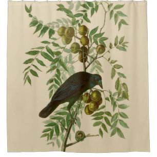 Cortina De Ducha Impresión de pájaro Grackle púrpura de Audubon Vin
