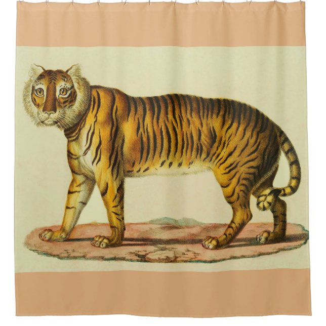 Cortina De Ducha Impresión de tigre de 1824 (Anverso)
