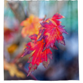 Cortina De Ducha Impresionantes hojas de arce japonesas