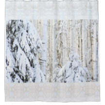 Invierno Sun en bosque del álamo de la picea