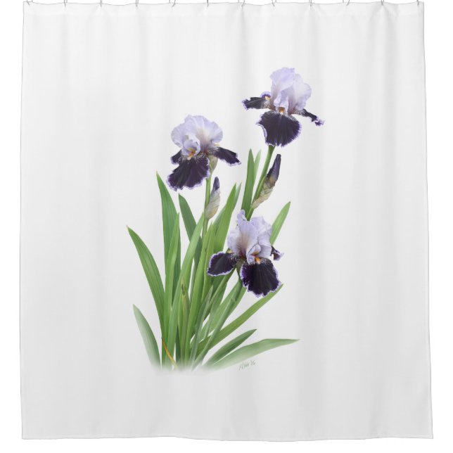 Cortina De Ducha Iris Trio (Anverso)