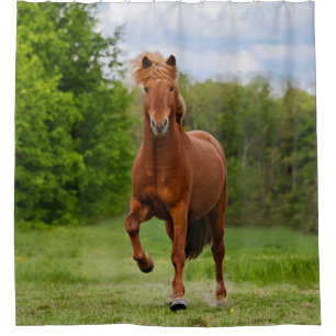 Cortina De Ducha Islandés Pony Tölt Funny Photo Horse Lovers - Tub