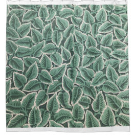 Cortina De Ducha Jane Austen Home Wallpaper