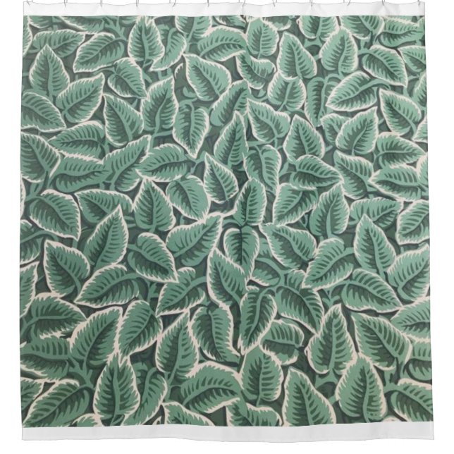 Cortina De Ducha Jane Austen Home Wallpaper (Anverso)