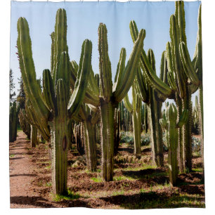 Cortina De Ducha Jardín Cacti. Cactus altos verdes y suculentas cre