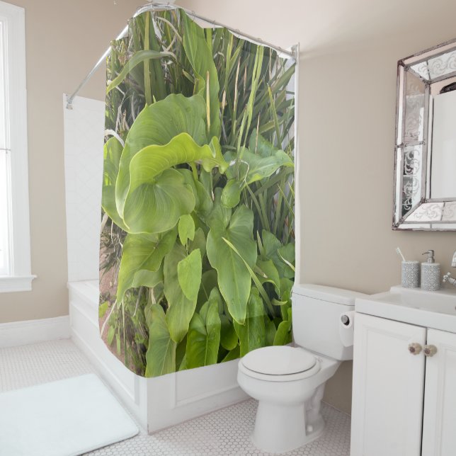 Cortina De Ducha Jardín trasero Clausura Naturaleza exterior Foto (In situ)