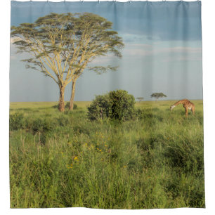 Cortina De Ducha Jirafa en Serengeti