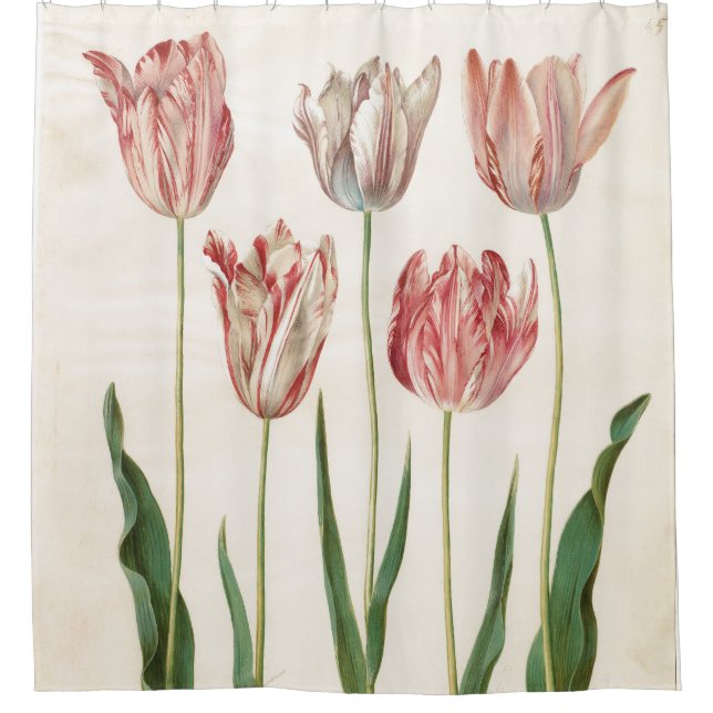Cortina De Ducha Johannes Simon Holtzbecher Tulips (Anverso)