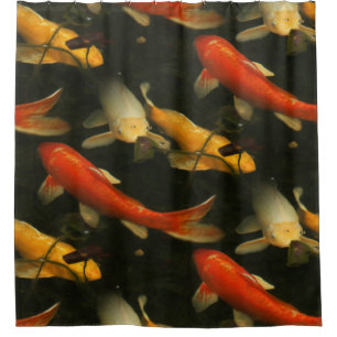 Cortina De Ducha Koi