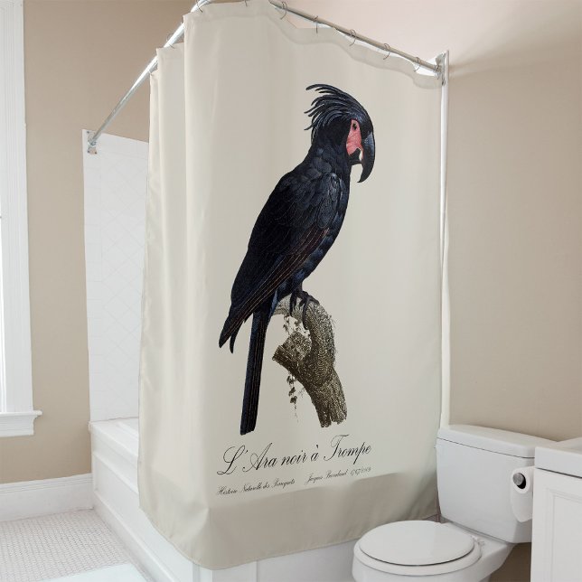 Cortina De Ducha L' Ara Noir a Trompe / Palm Cockatoo (L' Ara Noir a Trompe / Palm Cockatoo. Shower Curtain)