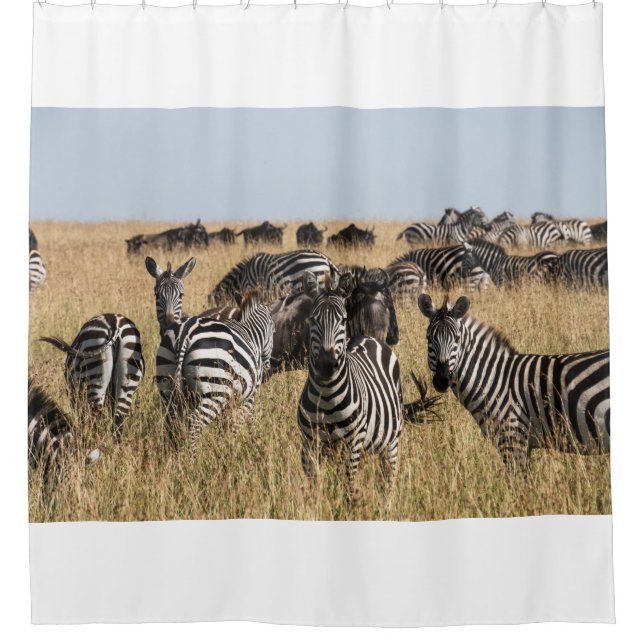 Cortina De Ducha La cebra de Grant (Anverso)
