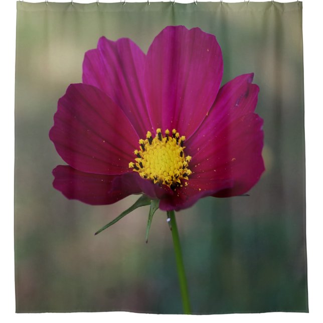 Cortina De Ducha La flor perfecta de la hermana (Anverso)