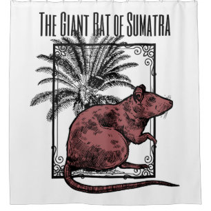 Cortina De Ducha La gigantesca rata de Sumatra Holmesian Sherlock H