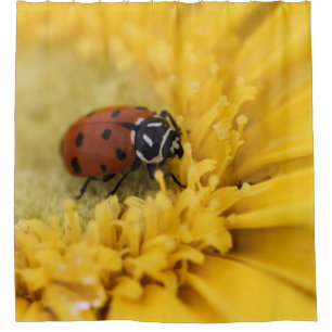 Cortina de ducha Ladybug