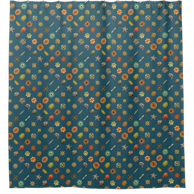 Cortina De Ducha Las joyas submarinas de Ernst Haeckel (Anverso)