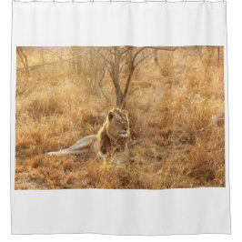 Cortina De Ducha León