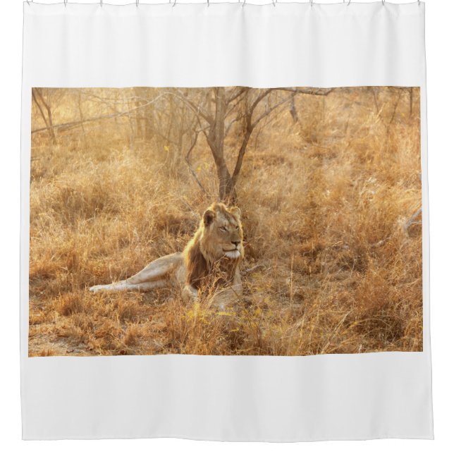 Cortina De Ducha León (Anverso)