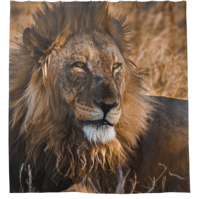 CORTINA DE DUCHA LEÓN EN EL PARQUE NACIONAL DE ETOSHA (Anverso)