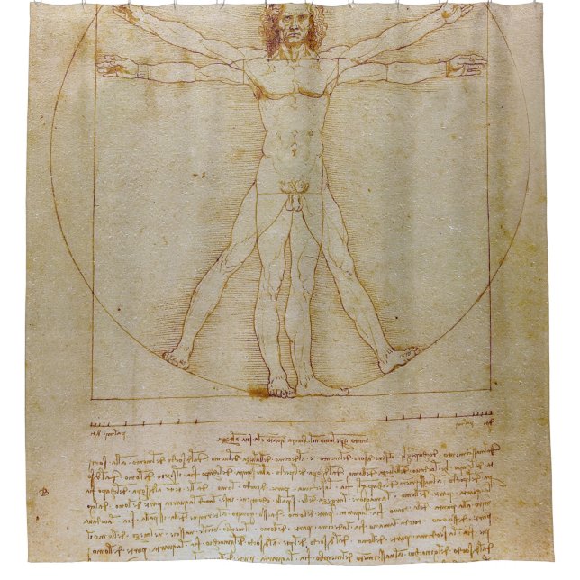 Cortina De Ducha Leonardo Da Vinci, el hombre vitruviano, el renaci (Anverso)