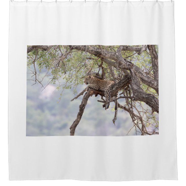 Cortina De Ducha Leopardo en un árbol (Anverso)