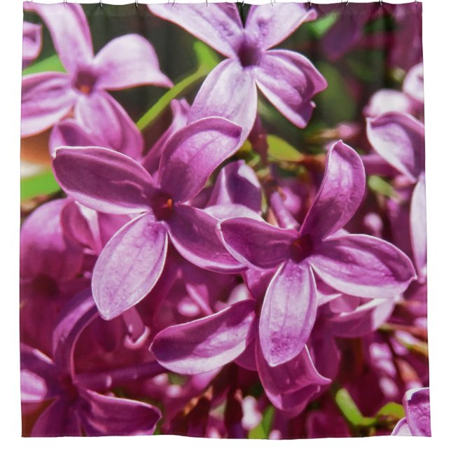Cortina De Ducha Lilac Closeup (Anverso)