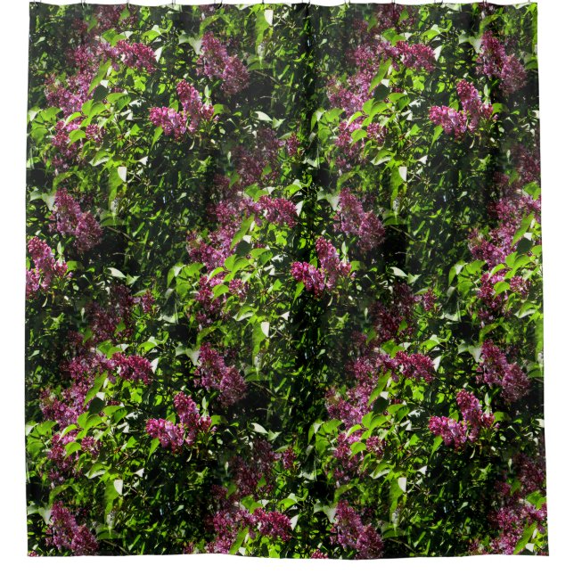 Cortina De Ducha Lilacs..... (Anverso)