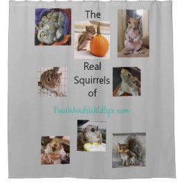 Cortina De Ducha Limpiar a la ardilla