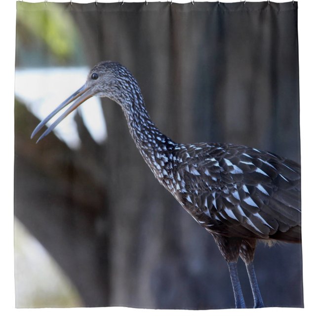 Cortina De Ducha Limpkin, The Crying Bird (Anverso)
