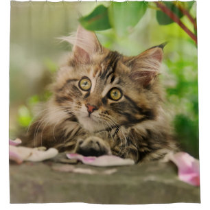 Cortina de ducha linda del gatito del gato de Coon