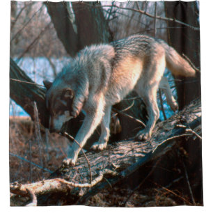 Cortina De Ducha Lobo
