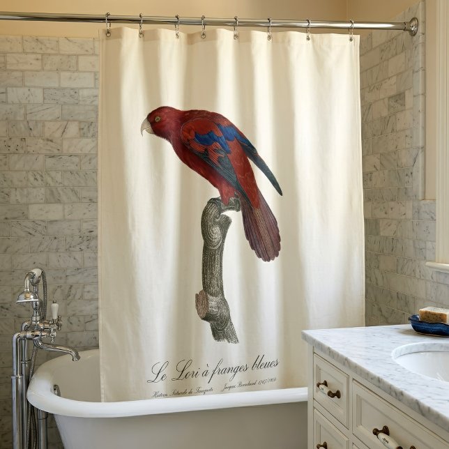 Cortina De Ducha Lorio de cola larga, Trichoglossus borneus (Long-Tailed Red Lory, Trichoglossus borneus. Shower Curtain)