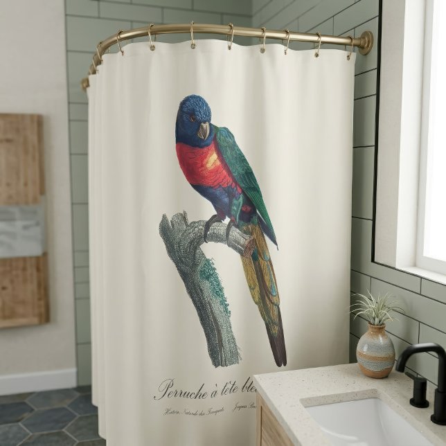 Cortina De Ducha Loriquito Arcoíris Macho, Trichoglossus Moluccanus (Rainbow Lorikeet Male, Trichoglossus Moluccanus. Shower Curtain)