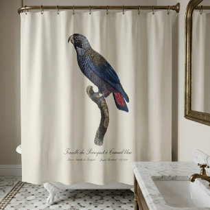 Cortina De Ducha Loro obscuro o Pionus obscuro, Pionus fuscus