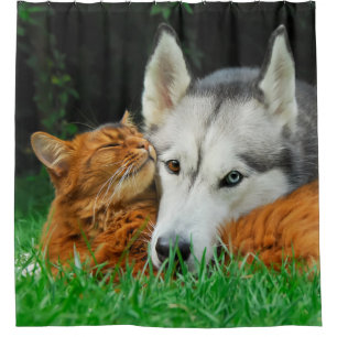 Cortina De Ducha Los amigos lindos del husky siberiano somalí del