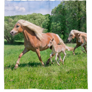 Cortina De Ducha Los caballos de Haflinger con los potros lindos