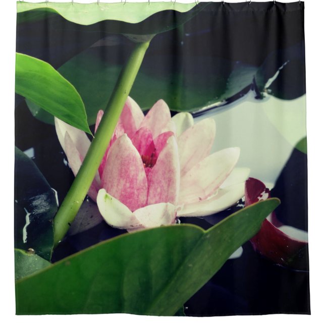 Cortina De Ducha Lotus rosa (Anverso)