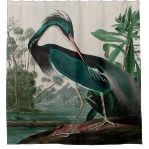 Cortina De Ducha Louisiana Heron Birds of America Audubon Print