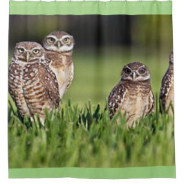 Cortina De Ducha madriguera de búhos
