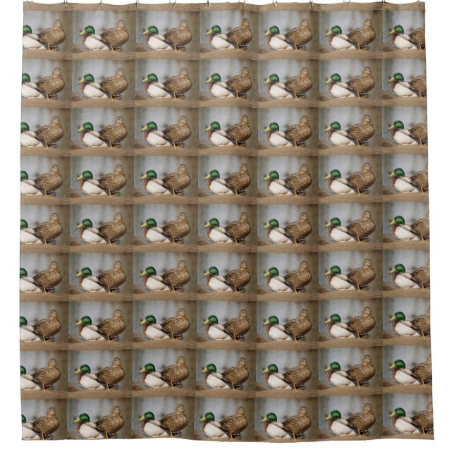Cortina de ducha Mallard Ducks (Anverso)