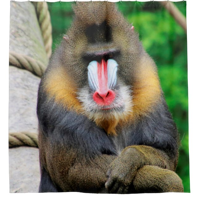 Cortina De Ducha Mandrill 001 (Anverso)