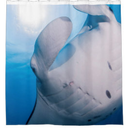 Cortina De Ducha Manía del Manta: Rayo de Manta lindo en sol