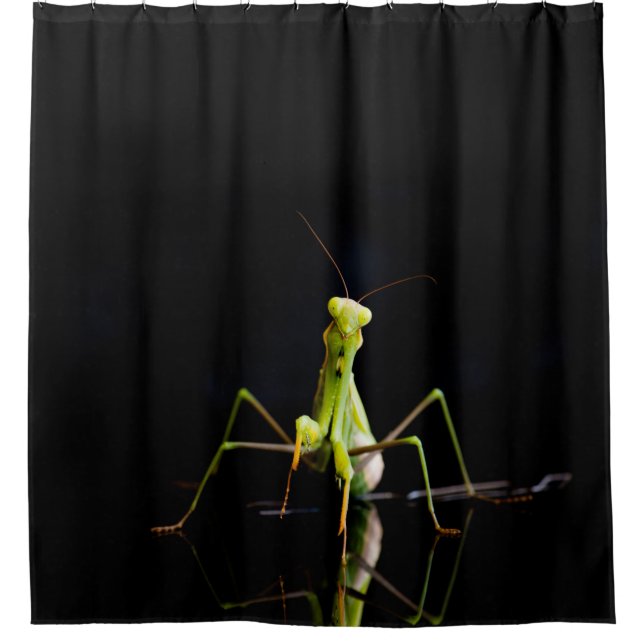 Cortina De Ducha Mantis rezando (Anverso)