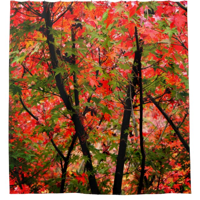 Cortina De Ducha Maples japoneses (Anverso)