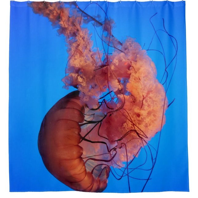 Cortina De Ducha Maravillosa medusa (Anverso)