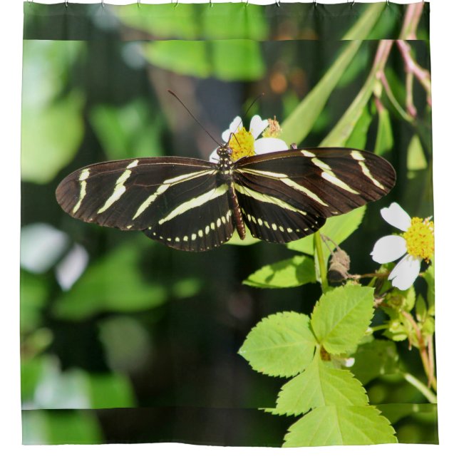 Cortina De Ducha Mariposa Cebra Longwing (Anverso)