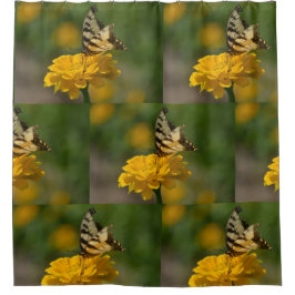 Cortina De Ducha Mariposa Trasera De Zinnia