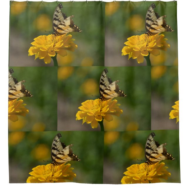 Cortina De Ducha Mariposa Trasera De Zinnia (Anverso)