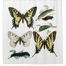 Cortina De Ducha Mariposas y orugas coloridas