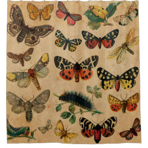 Cortina De Ducha Mariposas y polillas antiguas (8).jpg